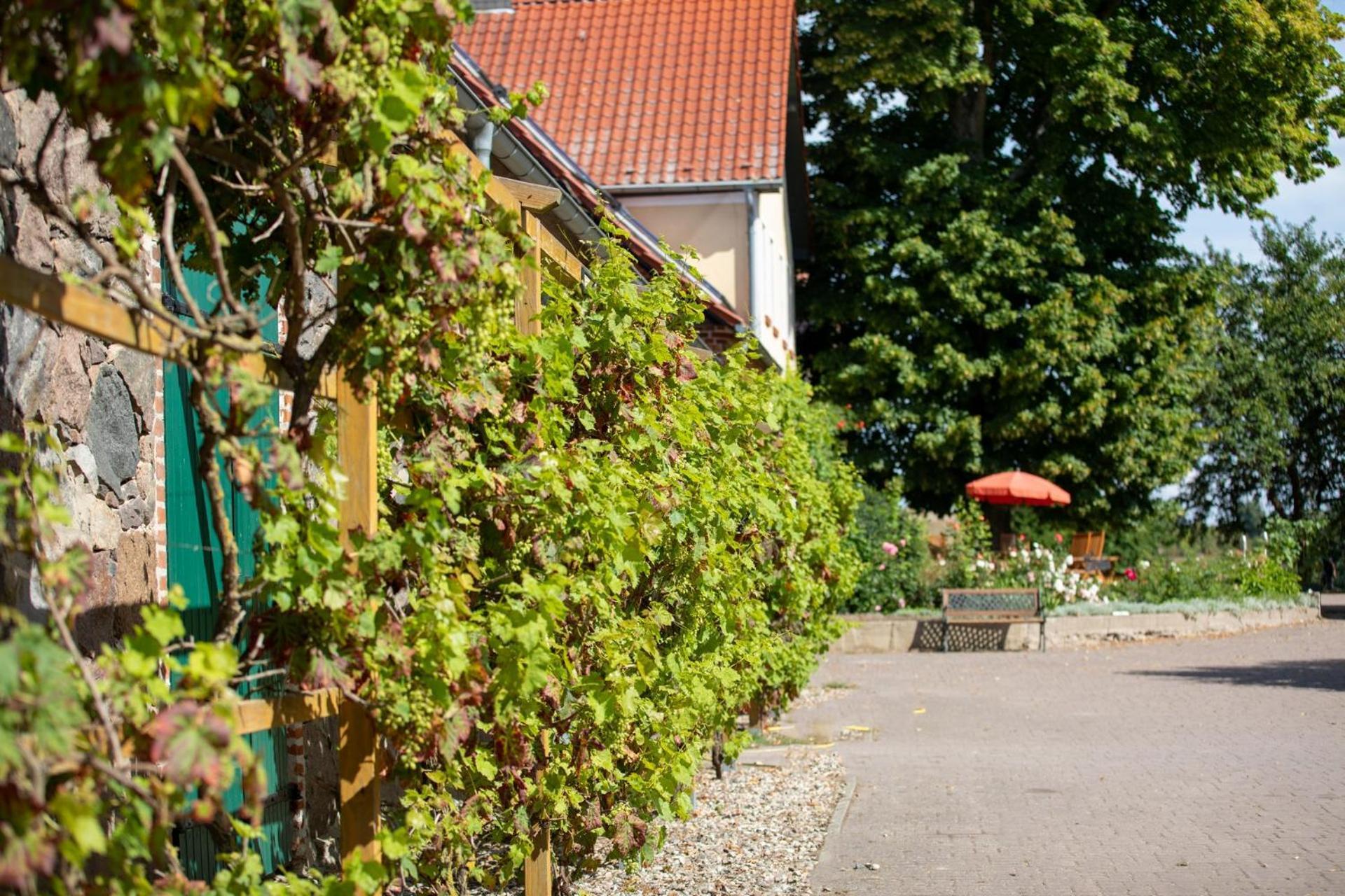 Apartment Landurlaub Auf Dem Mellenhof *